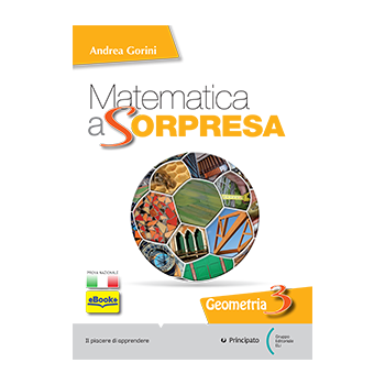 Matematica a sorpresa - Algebra 3 + Geometria 3 + Quaderno 3