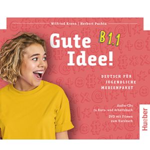 Gute Idee! B1.1 Medienpaket + CD audio + DVD video