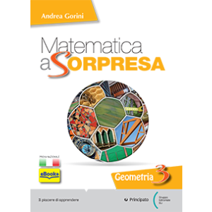 Matematica a sorpresa - Algebra 3 + Geometria 3 + Quaderno 3